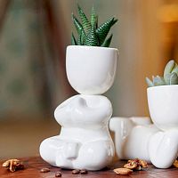 набор для выращивания eco йог в Брянске