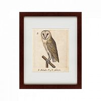картина: one owl, 1560 в Брянске