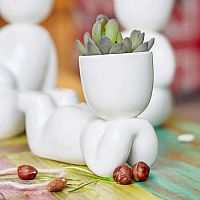 набор для выращивания eco мечтатель в Брянске