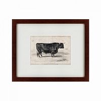 картина: a west highland bull, 1840 в Брянске