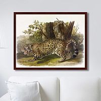 картина: jaguar, 1841г. в Брянске