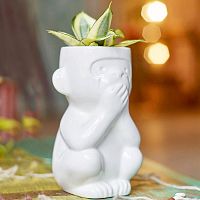 горшок для растений eco молчун в Брянске