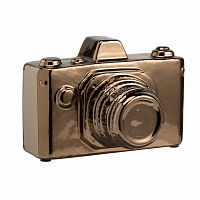 предмет декора camera золотая в Брянске