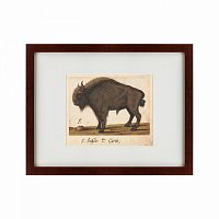 картина: bison, 1560 в Брянске