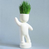 набор для выращивания eco победитель в Брянске