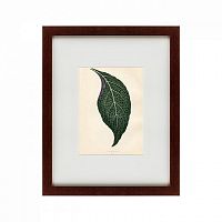 картина: the leaf, 1871 в Брянске