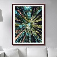 картина: deep forest в Брянске