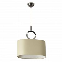 подвесной светильник divinare 4069/02 sp-1 в Брянске