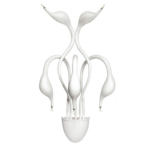 бра lightstar cigno collo wt 751656 в Брянске