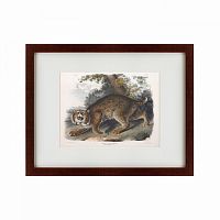 картина: bobcat, 1839 в Брянске