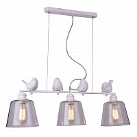 подвесная люстра arte lamp passero a4289sp-3wh в Брянске