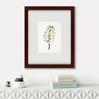 картина: pear tree flowers (pyrus calleryana), 1830 в Брянске