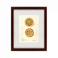 картина: watercolor collection, drawing №5, 1910 в Брянске