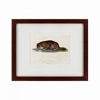 картина: a panther drinking, 1830 в Брянске