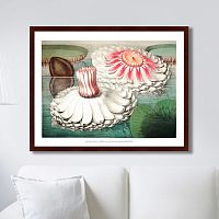 картина: water lily during bloom, 1870г. в Брянске