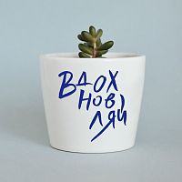 набор для выращивания eco мини-кашпо «вдохновляй» в Брянске