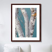 картина: trees on the galapagos islands, ecuador no1 в Брянске