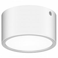 уличный светодиодный светильник lightstar zolla 380164 в Брянске