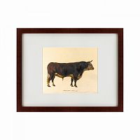 картина: the bull, 1797 в Брянске