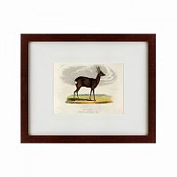 картина: a roebuck, 1830 в Брянске