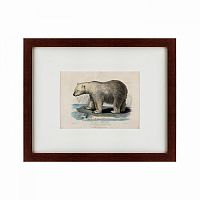 картина: white polar bear on an ice, 1830 в Брянске