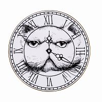 тарелка кот на циферблате в Брянске