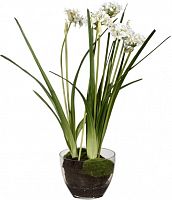 декор allium в Брянске