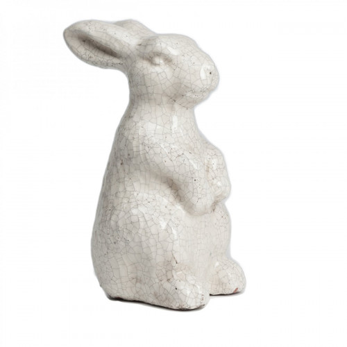 кролик декоративный rabbit в Брянске