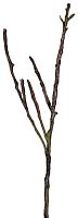 декор dry branches в Брянске