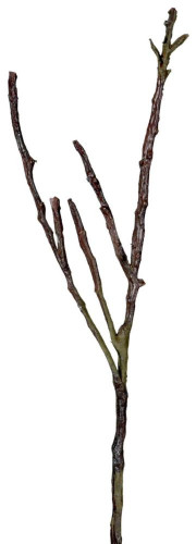 декор dry branches в Брянске