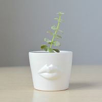 набор для выращивания eco мини-кашпо «губы» в Брянске