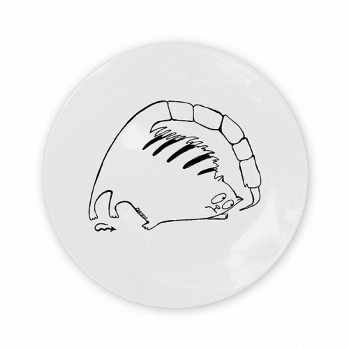 тарелка кот-скорпион в Брянске