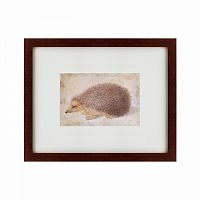 картина: a hedgehog, 1584 в Брянске