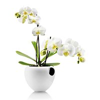 горшок для орхидеи orchid pot белый в Брянске