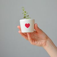 набор для выращивания eco мини-кашпо «сердце» в Брянске