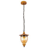 подвесной светильник arte lamp catena a6711sp-1br в Брянске
