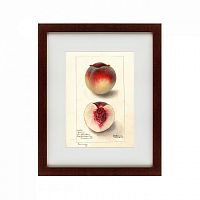 картина: watercolor collection, drawing №4, 1905 в Брянске