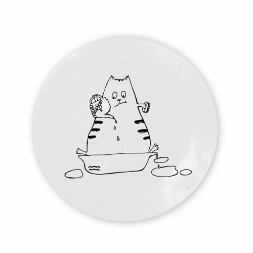 тарелка кот-водолей в Брянске