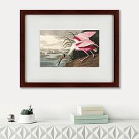 картина: roseate spoonbill, 1827 в Брянске