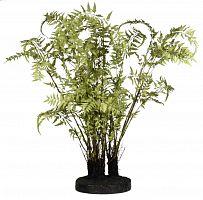 декор ferns в Брянске