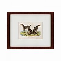 картина: three african bloodhounds, 1830 в Брянске