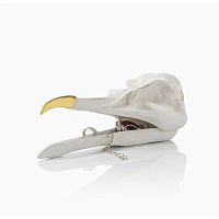 шкатулка для украшений bird skull (белый) в Брянске
