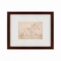 картина: a dog resting, 1520 в Брянске