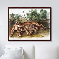 картина: the cougar, 1850г. в Брянске