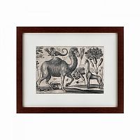 картина: a camel, 1670 в Брянске
