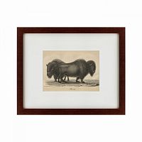 картина: bison, 1828 в Брянске