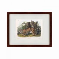 картина: jaguar, 1841 в Брянске