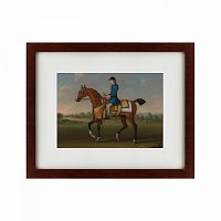 картина: bay racehorse with jockey up, 1730 в Брянске