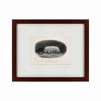 картина: a prize boar, 1867 в Брянске