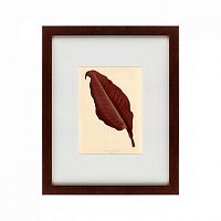 картина: the dark red leaf, 1881 в Брянске